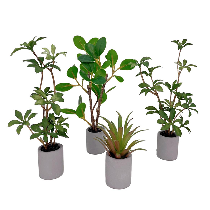 Bonsai Garden Home - 1:6 Puppenhaus Miniatur Topfpflanze Grünblättriger Blumentopf