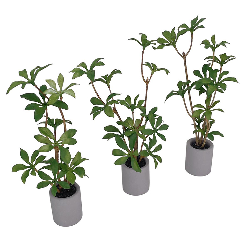 1:6 Puppenhaus Miniatur Topfpf – Bonsai Garden Home Bewertung und Preis