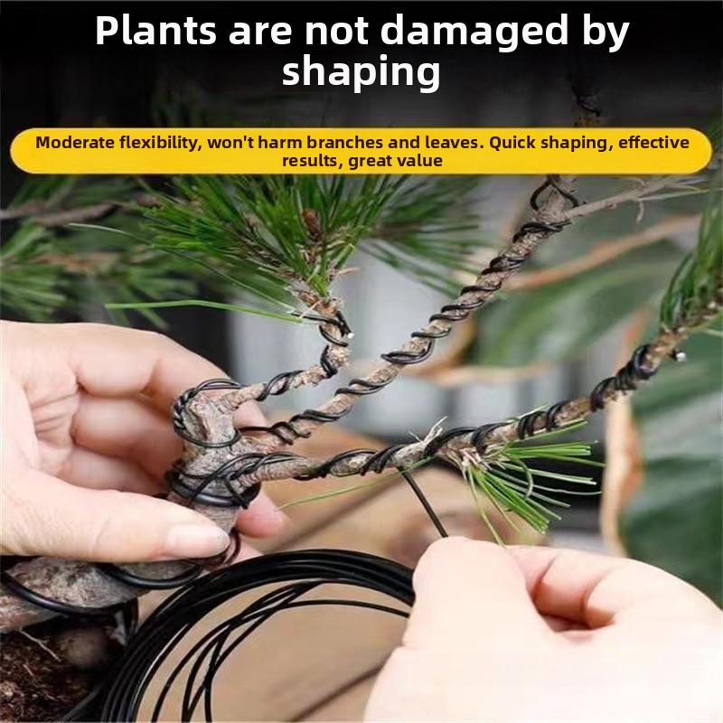 1,5-mm-Bonsaidrähte, Aluminium – Bonsai Garden Home Bewertung und Preis