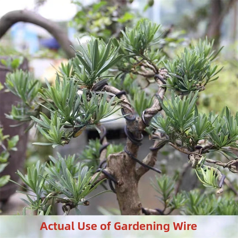 1,5-mm-Bonsaidrähte, Aluminium – Bonsai Garden Home Bewertung und Preis