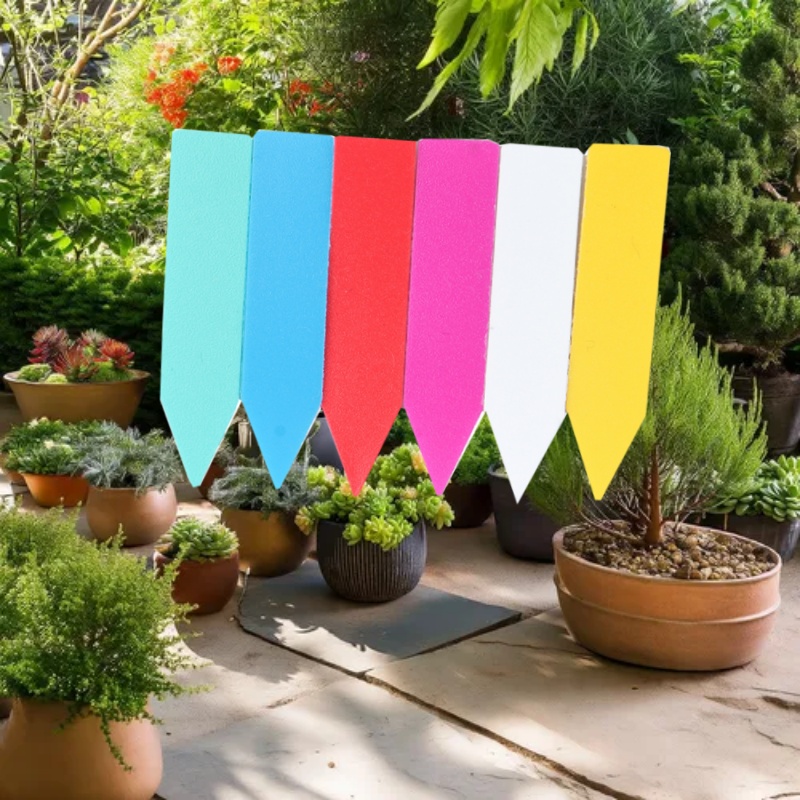 100 Stück 5 x 1 cm Garten-Pfla – Bonsai Garden Name Bewertung und Preis