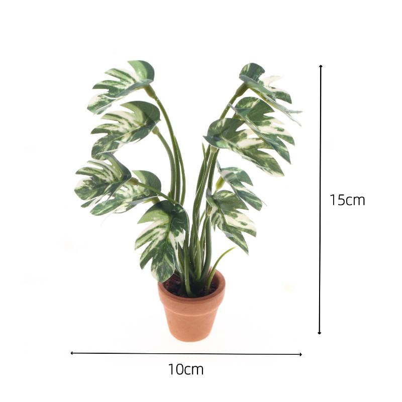 Neu. 1 Stück 1/12 Puppenhaus-S – Bonsai Garden Home Bewertung und Preis