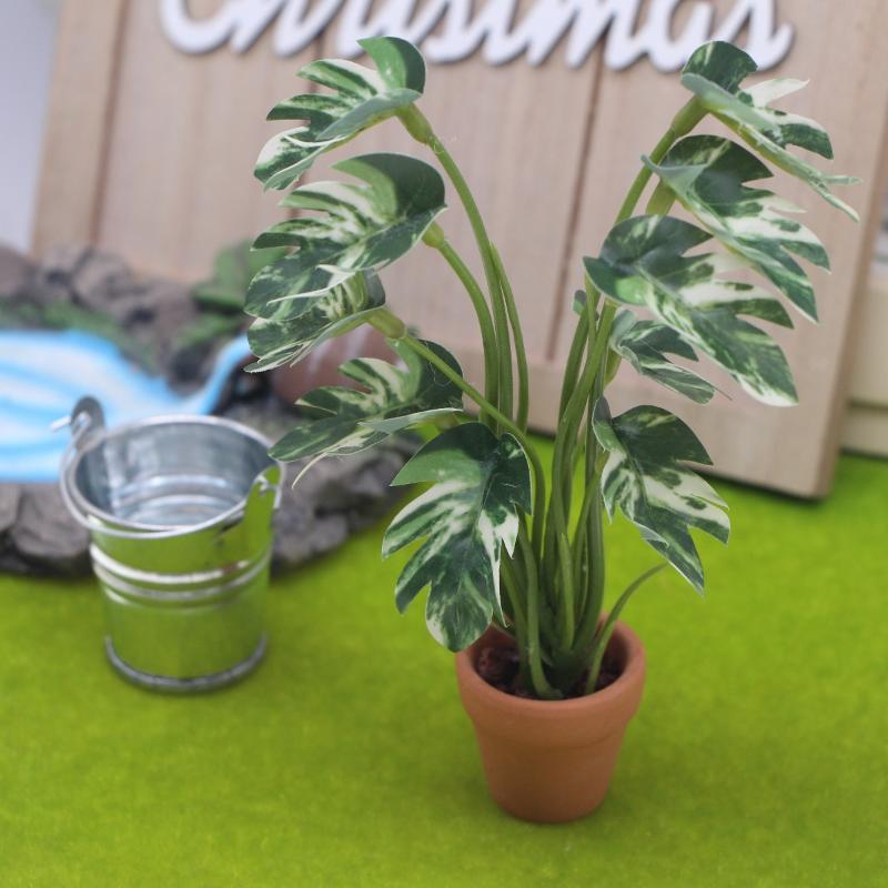Neu. 1 Stück 1/12 Puppenhaus-S – Bonsai Garden Home Bewertung und Preis