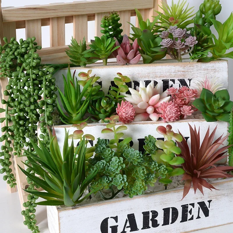 10/20 Stück PVC-Sukkulenten, g – Bonsai Garden Home Bewertung und Preis
